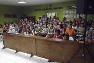 plenario