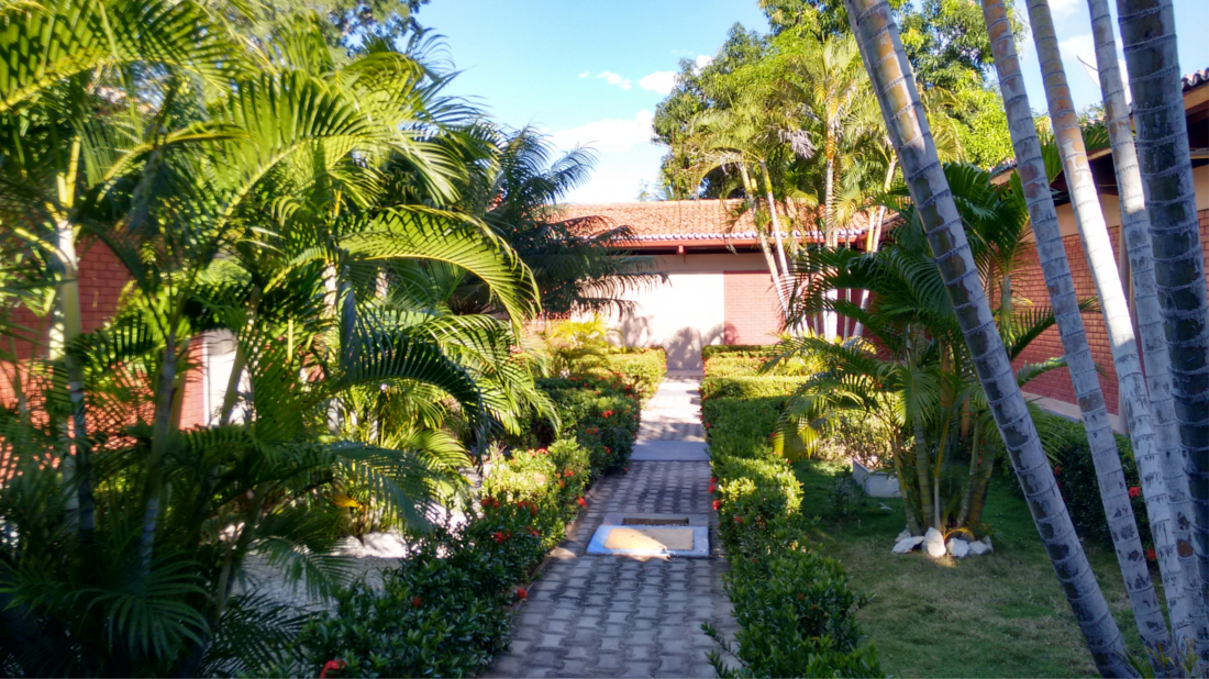 jardim 1