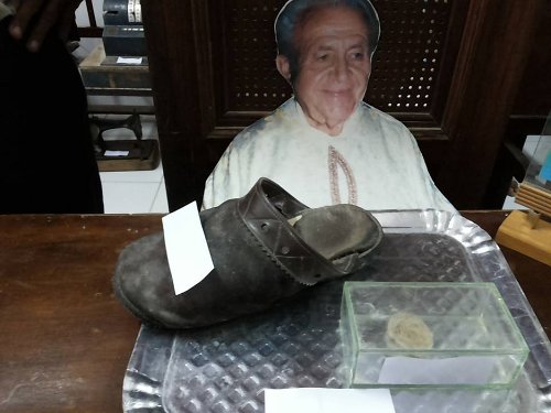 11015295 786433861452319 1488286042863827347 n