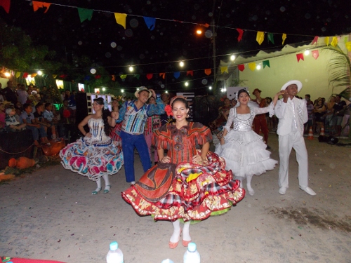DSCN0813