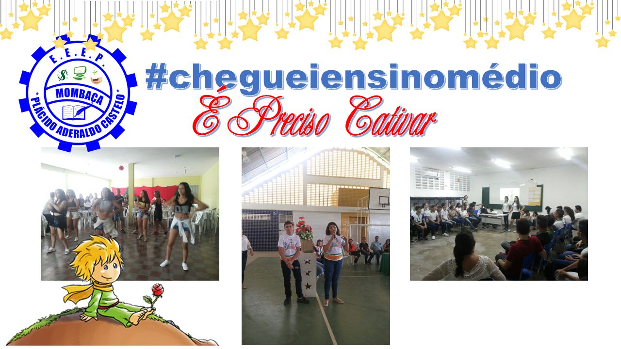 chegueiensinomedio placido 8